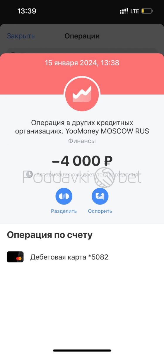 Отчет 15 января 2024 года